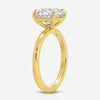 Danielle (3.04ct) Round Lab Diamond Engagement Ring