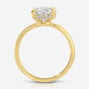 Amanda (4.7ct) Oval Engagement Ring (+) Hidden Halo