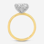 Danielle 3.5 carat Round Moissanite Engagement Ring w/ Hidden Halo - TOVAA