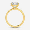 Danielle (3.04ct) Round Lab Diamond Engagement Ring