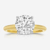 Danielle (2.59ct) Round Lab Diamond Engagement Ring