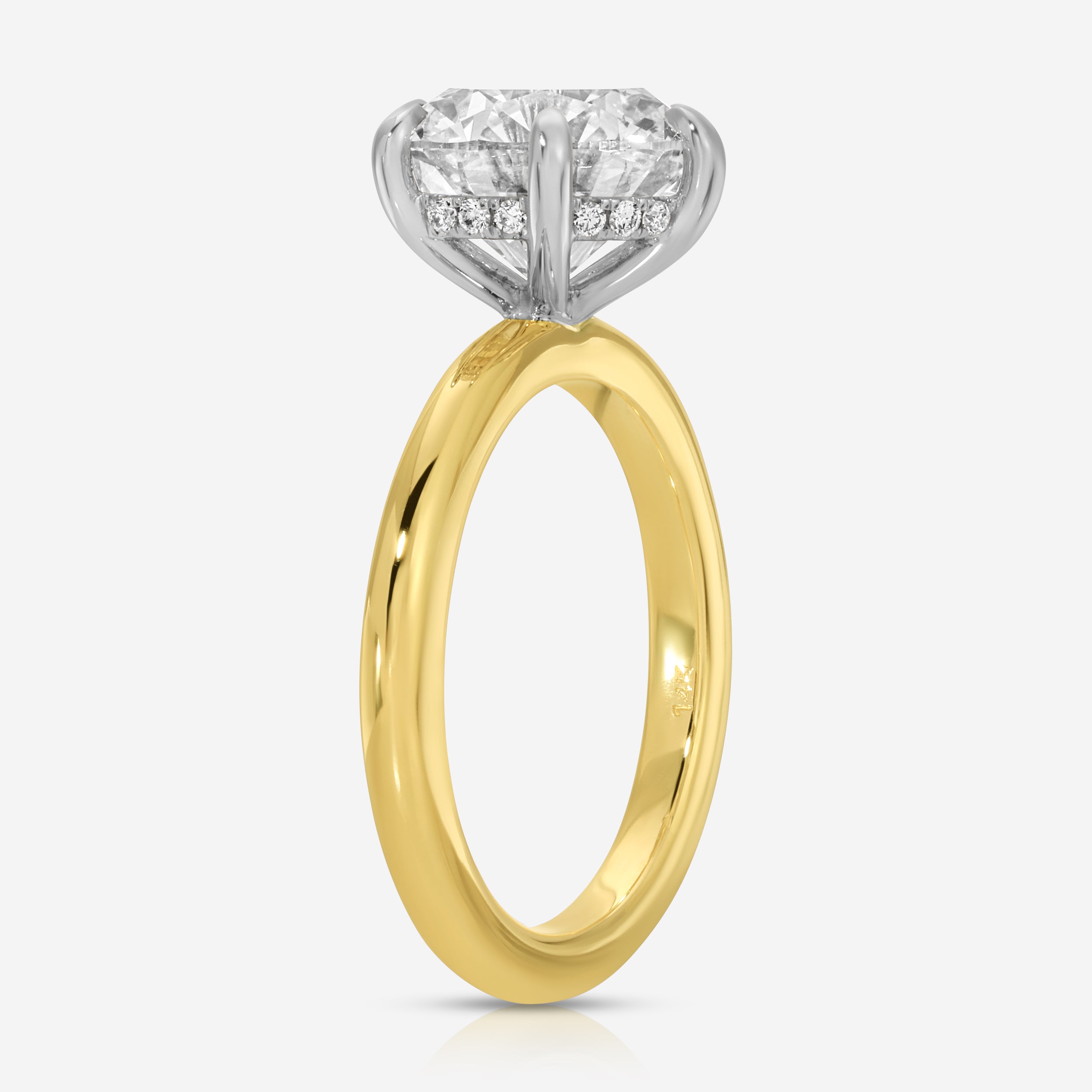 Danielle 3.58ct Round Lab Diamond Engagement Ring w/ 14k Gold Hidden Halo Setting (Size 5.25) - TOVAA