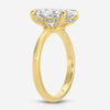 Amanda (4.7ct) Oval Engagement Ring (+) Hidden Halo