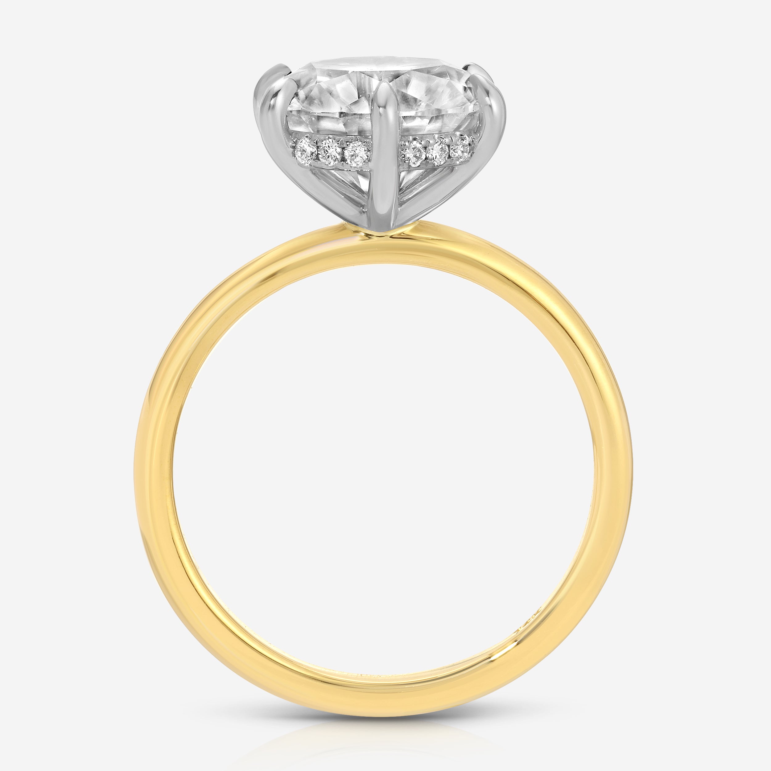 Danielle 3.5 carat Round Brilliant Moissanite Ring w/ 2mm Half Round Band & Hidden Halo - TOVAA