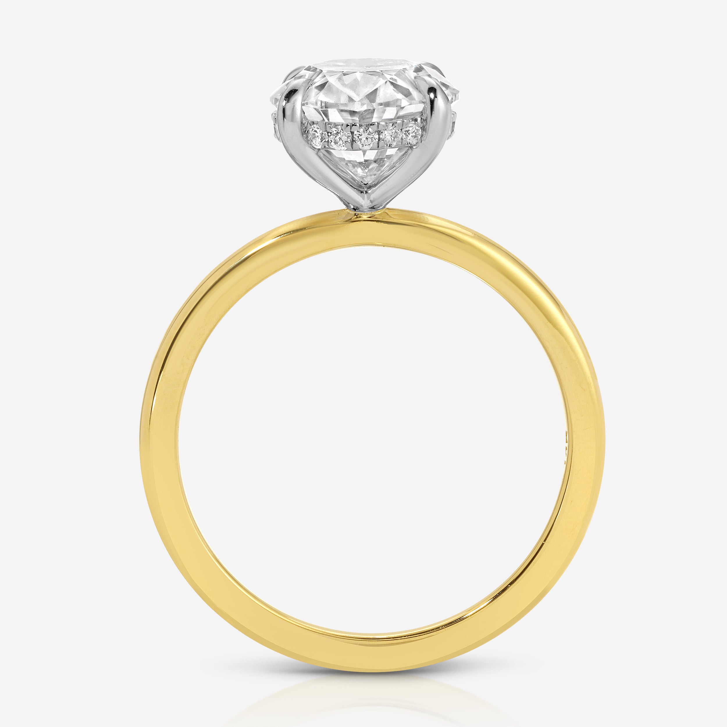 Olivia (+) Hidden Halo