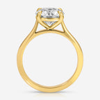 Morgan Round Moissanite Engagement Ring