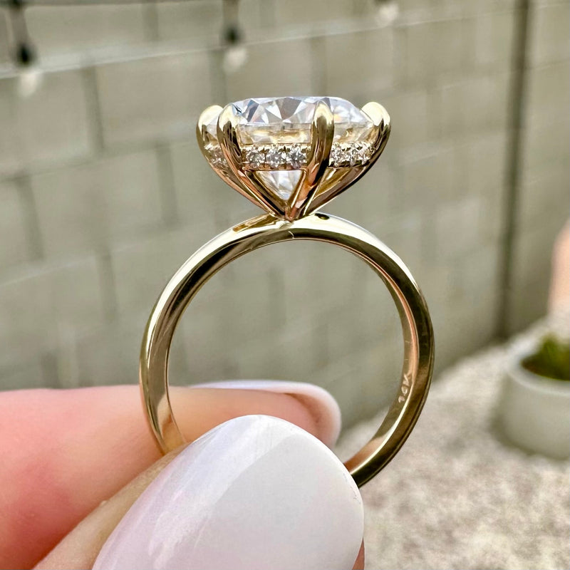 Danielle (3.5ct) Round Moissanite Engagement Ring (+) Hidden Halo